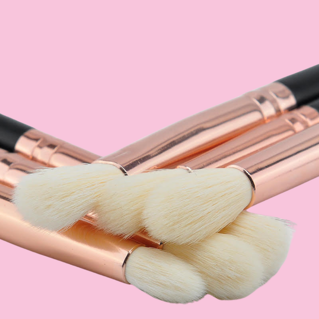 Eyeshadow Blending Brushes  (6 Piece Set)