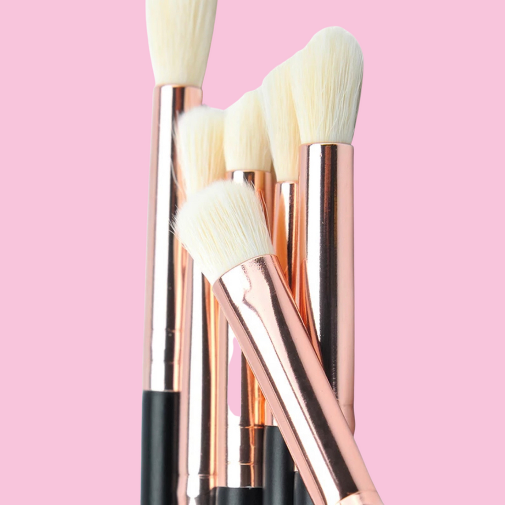 Eyeshadow Blending Brushes  (6 Piece Set)